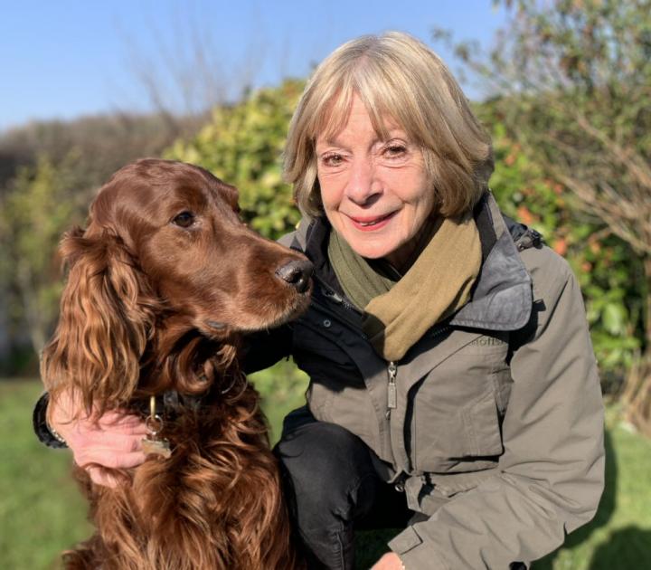 Dog walkers to raise money for Home-Start Winchester 