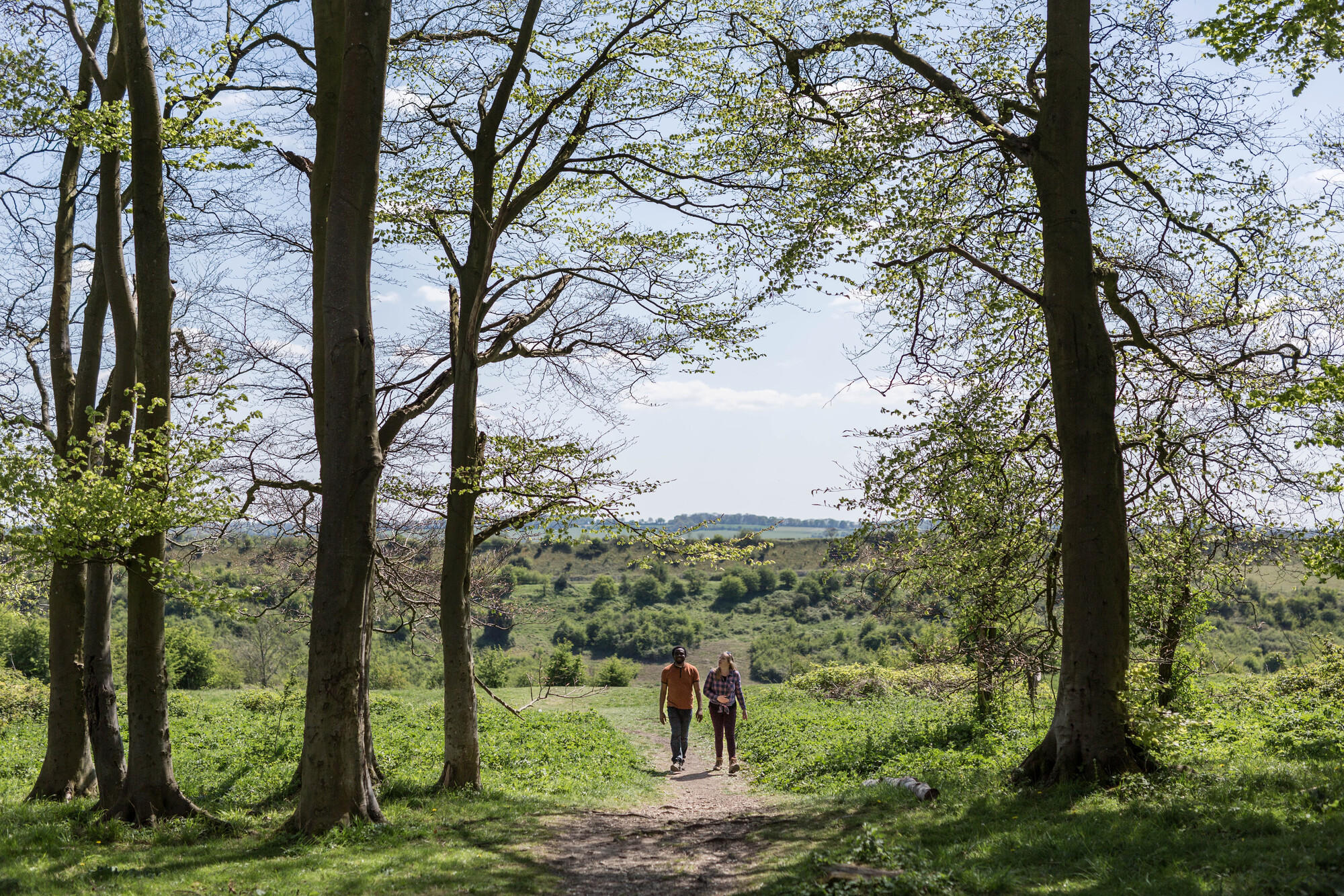 More than £2.5m to boost South Downs National Park projects - Vimarsana News