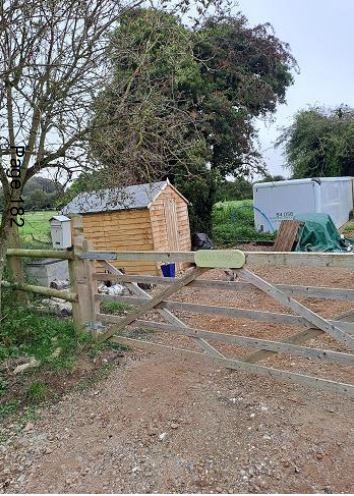 Hampshire Chronicle: South Wonston forest school Hampshire Chronicle: South Wonston forest school