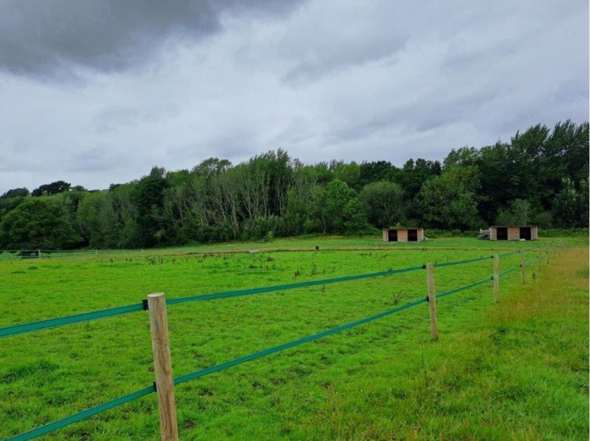 Winchester planning: Swanmore field plan splits opinion 