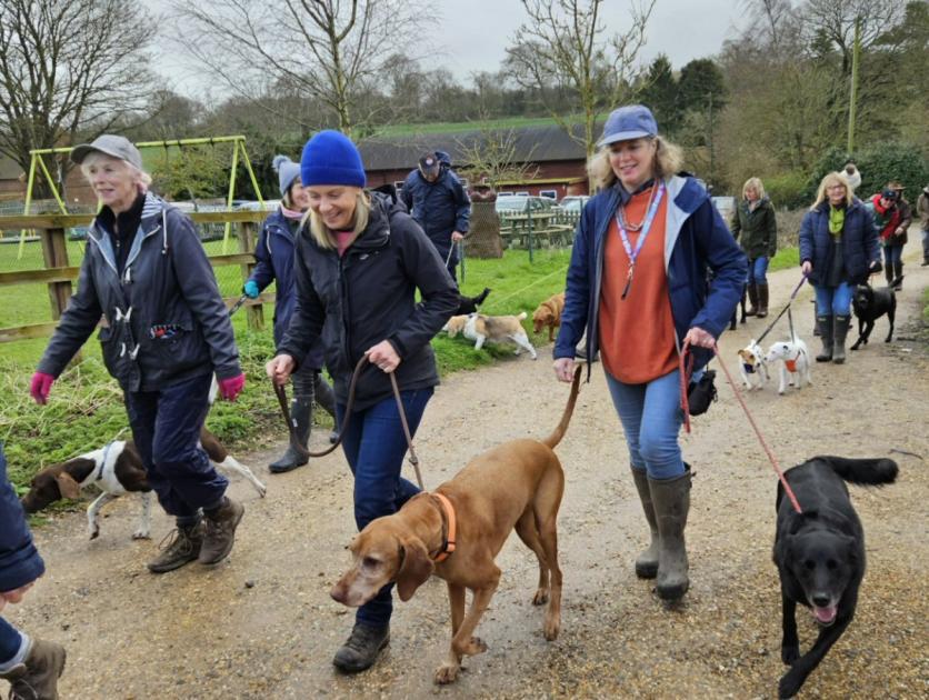 Dog walkers brave the rain to raise funds for family support charity 