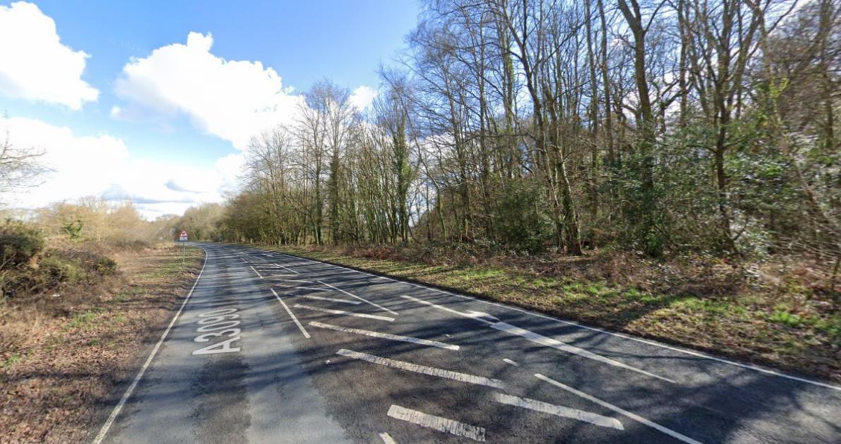 Winchester Road, Ampfield: Fatal crash sparks police appeal 