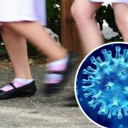 Further 29 Hampshire schools report coronavirus cases.