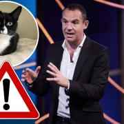 Martin Lewis has warned cat owners that certain types of cat food have been recalled