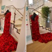 Janet Palmer, volunteer at Brendoncare Otterbourne Hill’s community hub with the dress made up of over 1,000 knitted and crocheted poppies