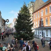 Winchester's Christmas tree goes up on November 13, 2022. Picture by Stuart Martin.