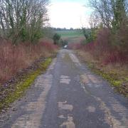 Old road leading to main entrance to Bushfield Camp. Photo: Andrew Napier