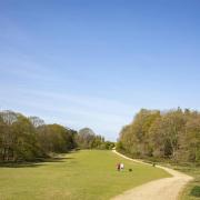 The best Spring Walks in Hampshire