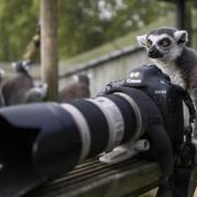 Animal and photography experience days at Marwell. Picture: Jason Brown
