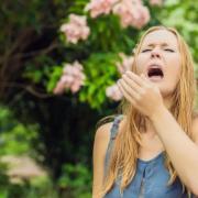 Some people may be suffering from hay fever this weekend