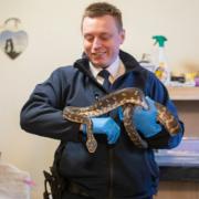 The RSPCA is recruiting 11 new Animal Rescue Officers