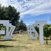 Hampshire vineyards wine festival to return for ninth year in July