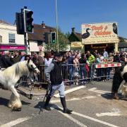 Wickham Horse Fair 2023