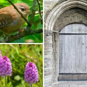 8 amazing Camera Club photos showing the best 'Hidden Beauty' of Winchester