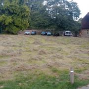 Hay meadow in Cathedral Close