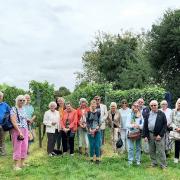 Group from Friends of Romsey Abbey