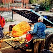 The winning pumpkin. Twyford Pumpkin Festival, photo: Hayley Fitzhenry