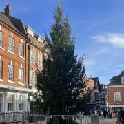 The Christmas tree is now up in the city centre