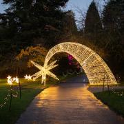 Hampshire botanical gardens to open night time art trail later this month