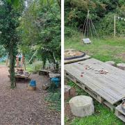 The forest school