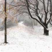 Snow on Wolstonbury Hill by Matt Goddard