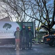 Awbridge Arborists, from left: Wayne Morgan, Harry Doherty and Sam Davies.