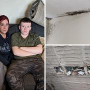 Left: Marie Waters and her son Connor, inserts: mould and exposed wiring in their home