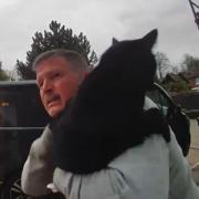 Watch: Plumber goes viral in video showing him trying to return escaped cat