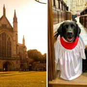 Left: Winchester Cathedral. Right: Daisy the dog