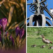 Some of our favourite photos by the Hampshire Camera Clubs this week