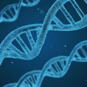 DNA stock image