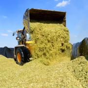 Warning of summer silage pollution threat to South East waterways