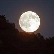 The Flower Moon is set to make an appearance this week