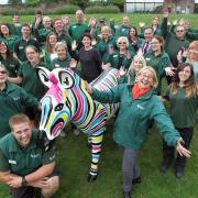 Marwell staff celebrate the Zany Zebra project's 25th sponsor