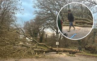 Jake Smith helped his community by using his tree surgeon skills
