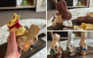 I can't believe Aldi's Specially Selected Chocolate Bunnies tasted like this - are they better than Lindt?