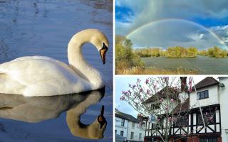 Our favourite photos from the Romsey Advertiser Camera Club this week