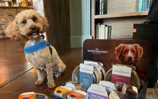 Adam Khalil's dog, Winter, eyes up the new menu at The Four Horseshoes