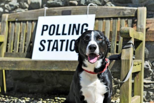 Hampshire Chronicle: POLLING STATIONS FOR 2017 COUNCIL ELECTION Polling stations for the 2017 council election Pictured: Frank the dog outside Lindal polling station, Buccleuch Hall, the Green Lindal in Furness, Ulverston, Thursday 4th May 2017 LEANNE BOLGER