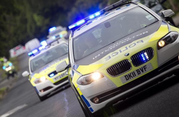 Arrests made after night poaching reports in Ovington, Alresford
